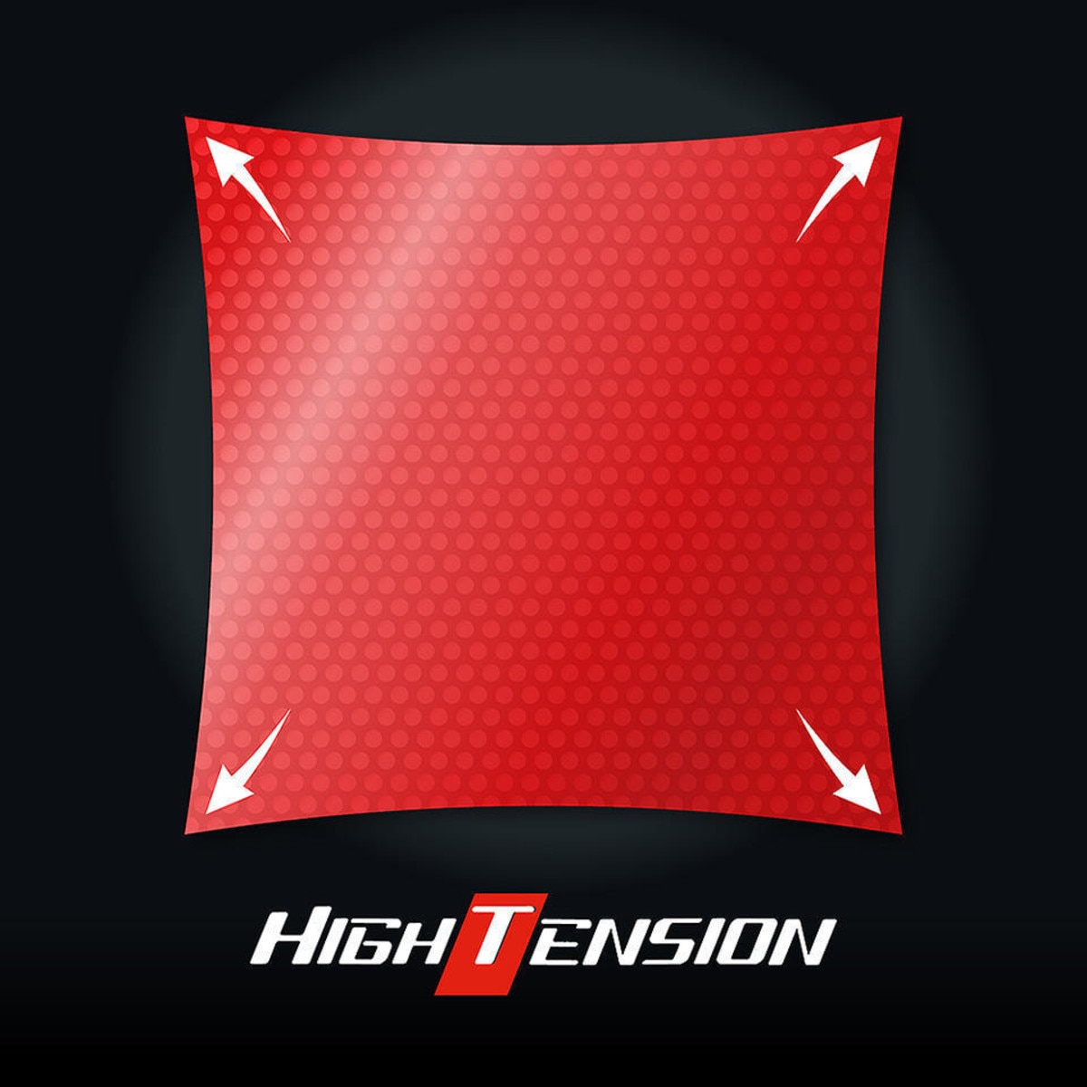 Tenergy 05 Hard Rubber High Tension